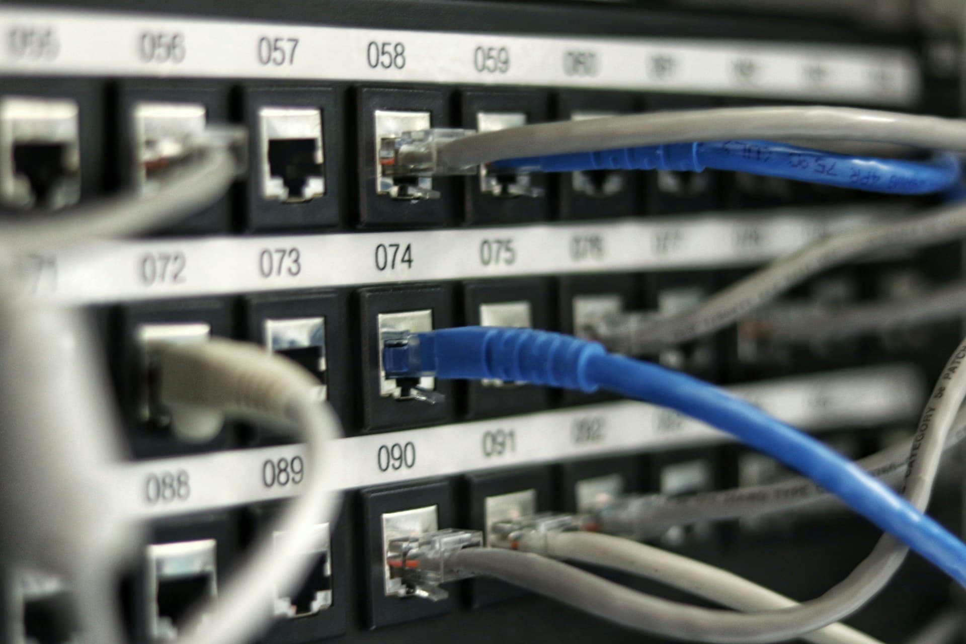 ブルーのネットワークケーブルが整然と束ねられたサーバ機器のイメージ